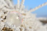 Bulle de savon congelée