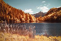 Herbststimmung im Sommer am Alatsee mit Alpen in Bayern