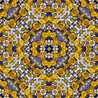 Camomilla&Ringelblume