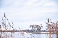 Vue magnifique sur l'eau