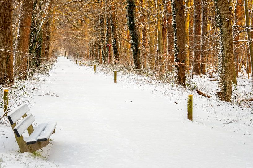 Vrijerslaantje Nienoord estate in the snow by R Smallenbroek