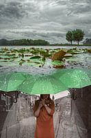 Symbolischer Übergang: Mystische Szene in Nijmegen mit Wasserlandschaft und Schirmen