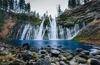 Burney Falls 