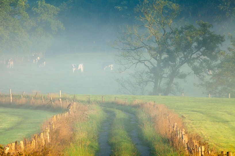 Germany, Sauerland by Frank Peters