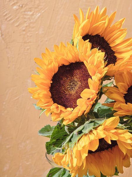 4 Sonnenblumen I Moderner Sommer Kunstdruck von Martijn Hoogendoorn