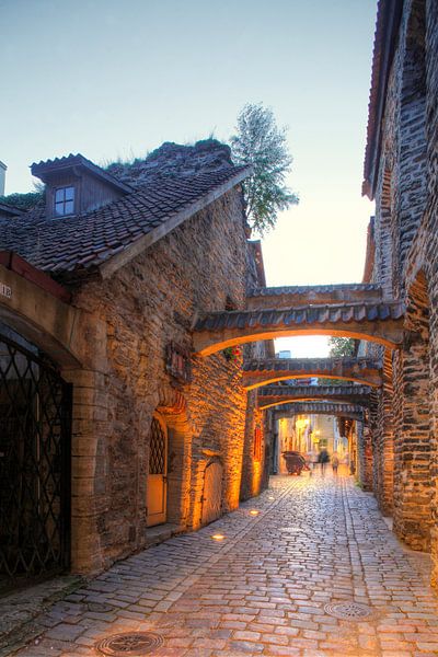 St. Katharinenpassage, Unterstadt, Altstadt ,  Tallinn, Estland, Europa von Torsten Krüger