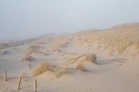 Dünen bei Sonnenuntergang