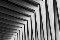 Linienspiel horizontal