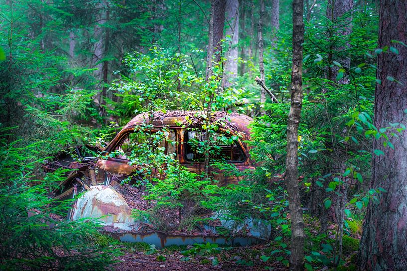 Ake's Autofriedhof Kyrkö Mosse-15 von ahafineartimages