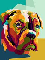 Pet animal in wpap