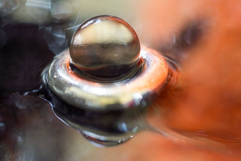 Reflection in water by Marijke de Leeuw - Gabriëlse