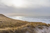 Dunes de Schoorl