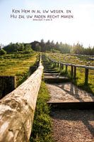 Bible text Proverbs 3 verse 6 state translation