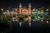 Tulpen aus Amsterdam