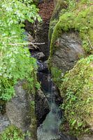 Mossy waterfall