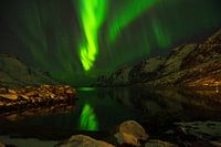 Noorderlicht, aurora borealis, over een fjord Noorwegen