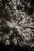 Photographie de voyage 