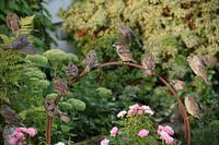 Sperows klebt zusammen