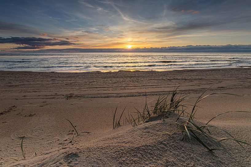 Touffe d'herbe de l'enfer sur un monticule de sable sur la plage de la mer du Nord par Bram Lubbers