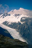New Zealand Fox Glacier 