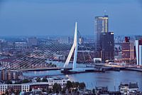 Erasmusbrücke - Rotterdam