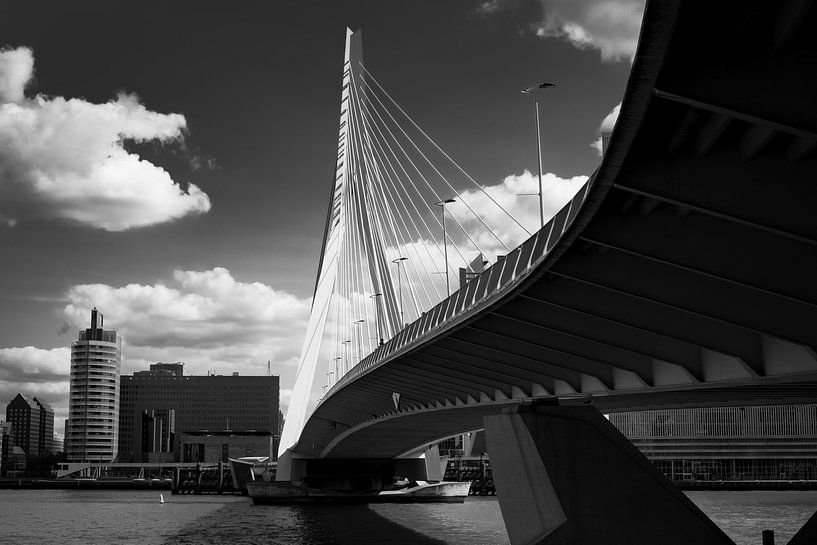 Rotterdam Erasmus brug van Mario Creanza