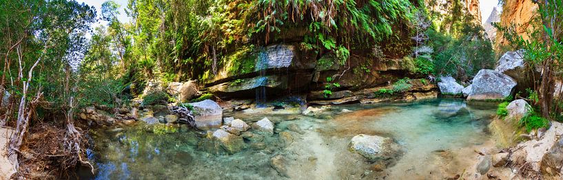 De heilige bron van Isalo par Dennis van de Water