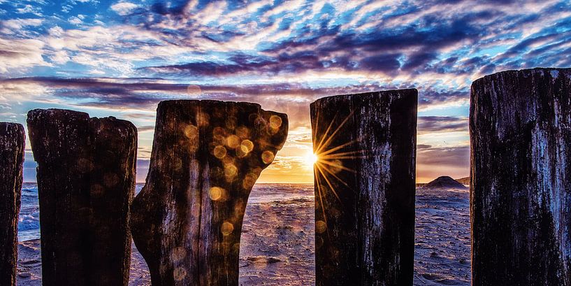 Poleheads at sunset by Edwin Benschop