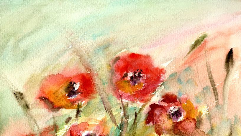Poppy in the wind by Claudia Gründler
