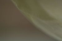 Je vous tends la main