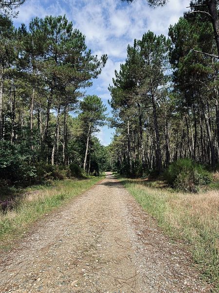 Pad naar rust van Jaime Teiwes