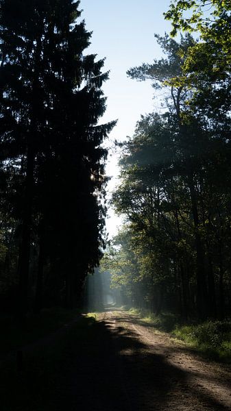 Mandatory field by Sander Huizinga