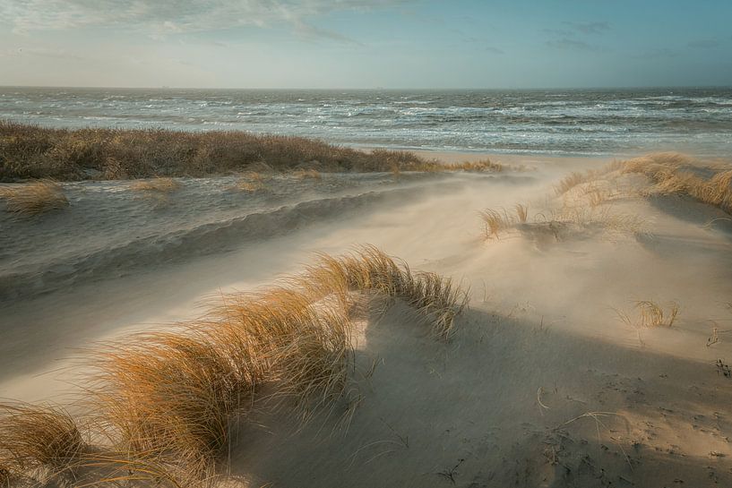 Dunes, beach and sea by Dirk van Egmond