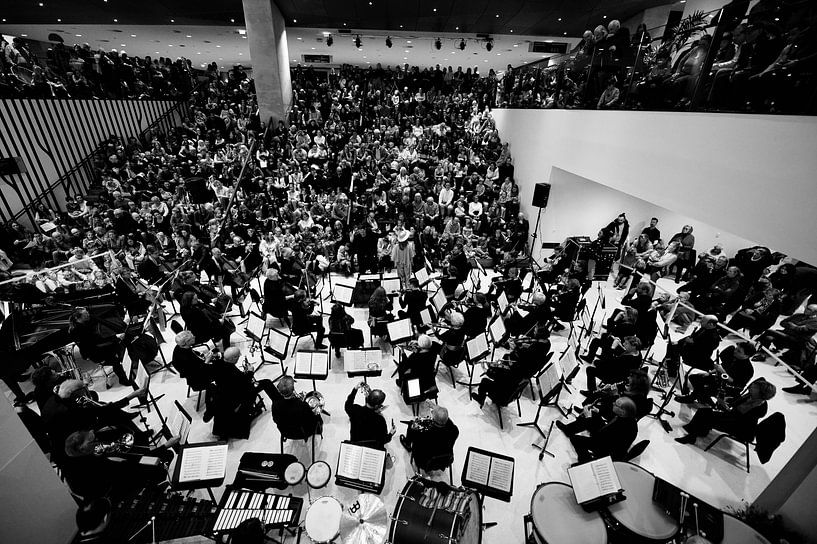 L'orchestre par Rob van Dam