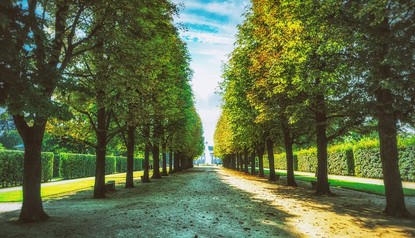 Paleis Pillnitz - Park in de boomgaard van het verdwijnpunt van Jakob Baranowski - Photography - Video - Photoshop