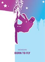 Snowboardster in de halfpipe