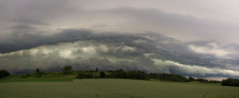 shelfcloud 3 by Francois Debets