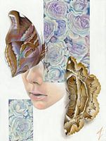 Die menschliche Natur V