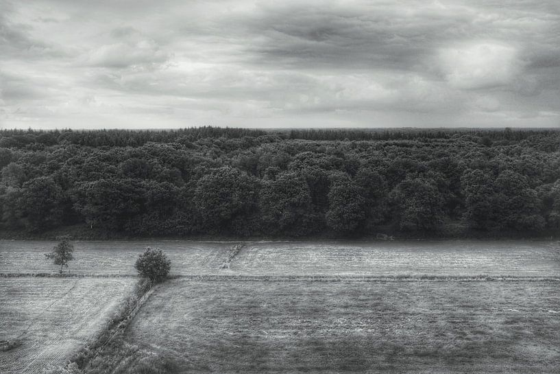 Hoch über den Bäumen von Jacob Raymond de Boer