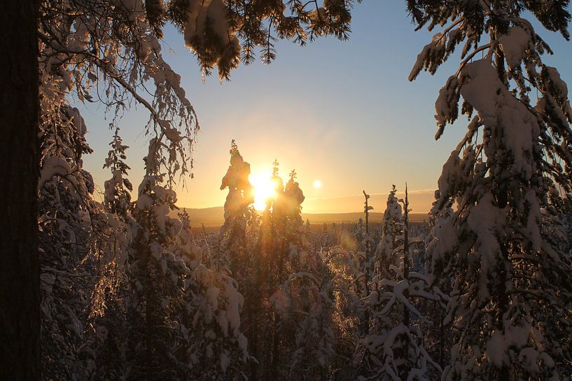 Schöner Ausblick von Jasmijn Peele