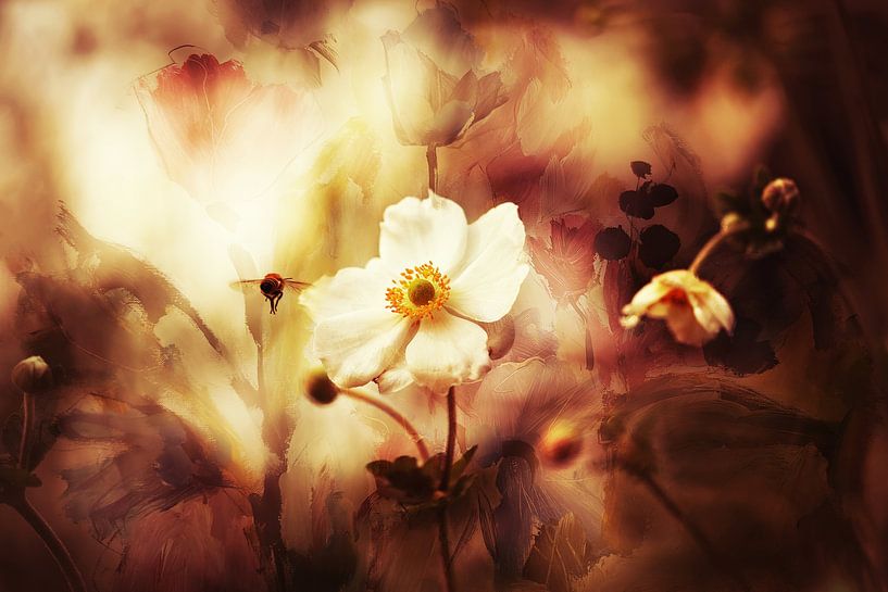 Sommerzeit... von Ellen van Deelen