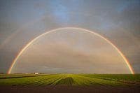 Arc-en-ciel au-dessus des polders de l'île de Wadden TexelTexel