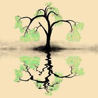 Water weerspiegeling,stilte van de treurwilg