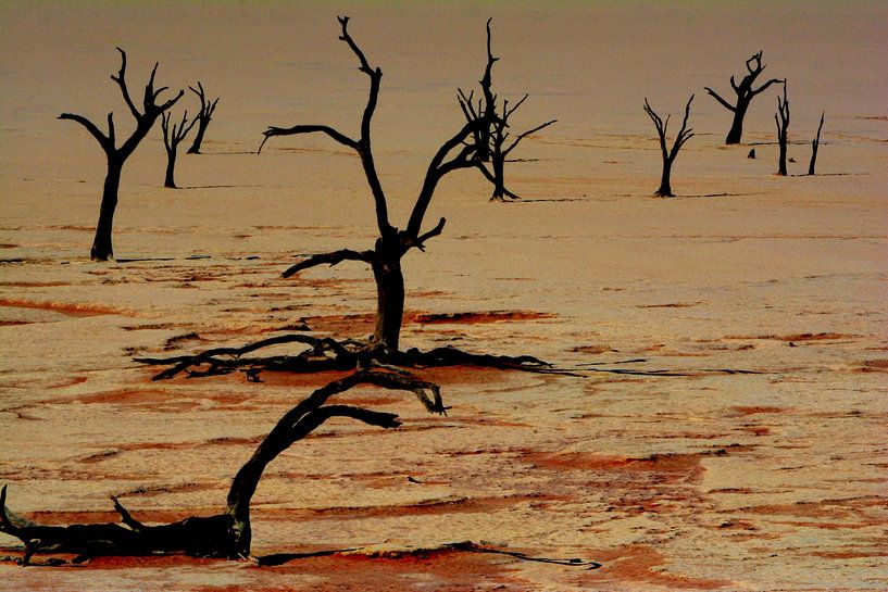 DEADVLEI 2 von Miroslav Ptacek