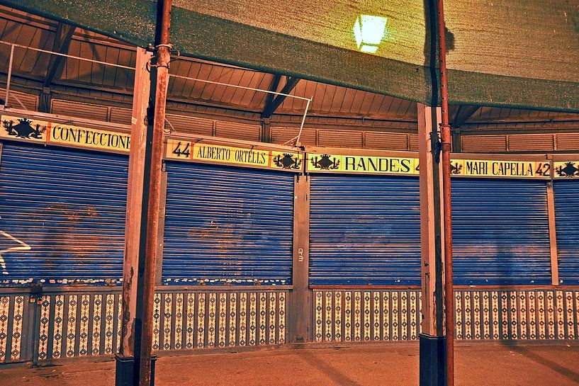 Abandoned Spanish market hall in the heart of Valencia by Silva Wischeropp