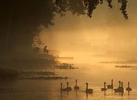 pêcheur dans le brouillard