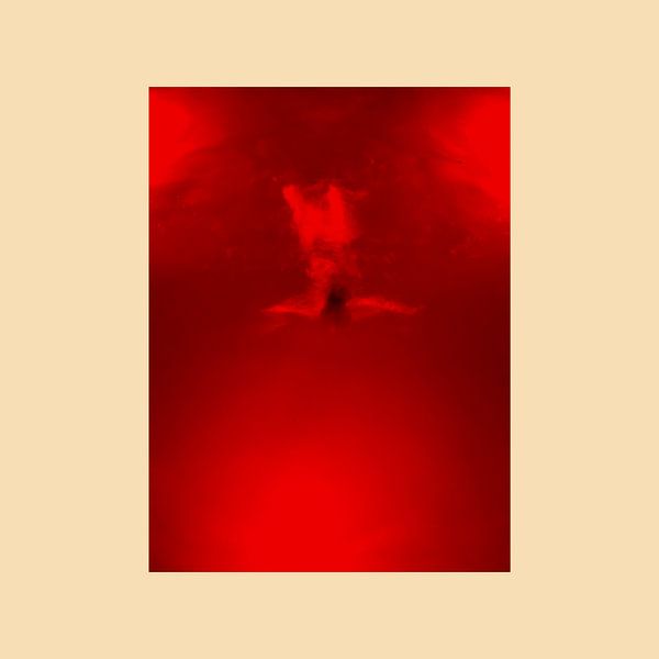 These bloody thoughts by Esther van Beek