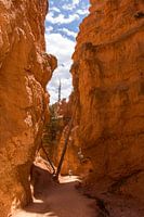 Ein kleiner Mensch zwischen großen Felsformationen