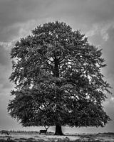 Changement de saison