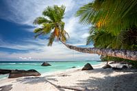 The most beautiful tropical beach in the Seychelles